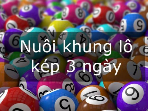 Lô kép nuôi khung 3 ngày | Cách nuôi khung lô kép 3 ngày chi tiết