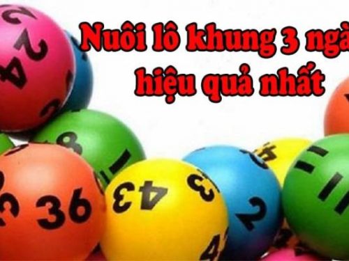 Bật mí cách nuôi lô 3 ngày hiệu quả dễ trúng nhất