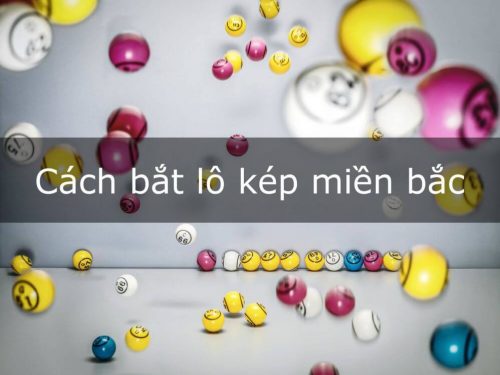 Cách bắt lô kép miền Bắc do cao thủ truyền lại có 1 không 2